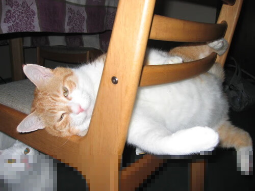 卢卡库节奏大师显威,马德里竞技一波流摧垮切尔西