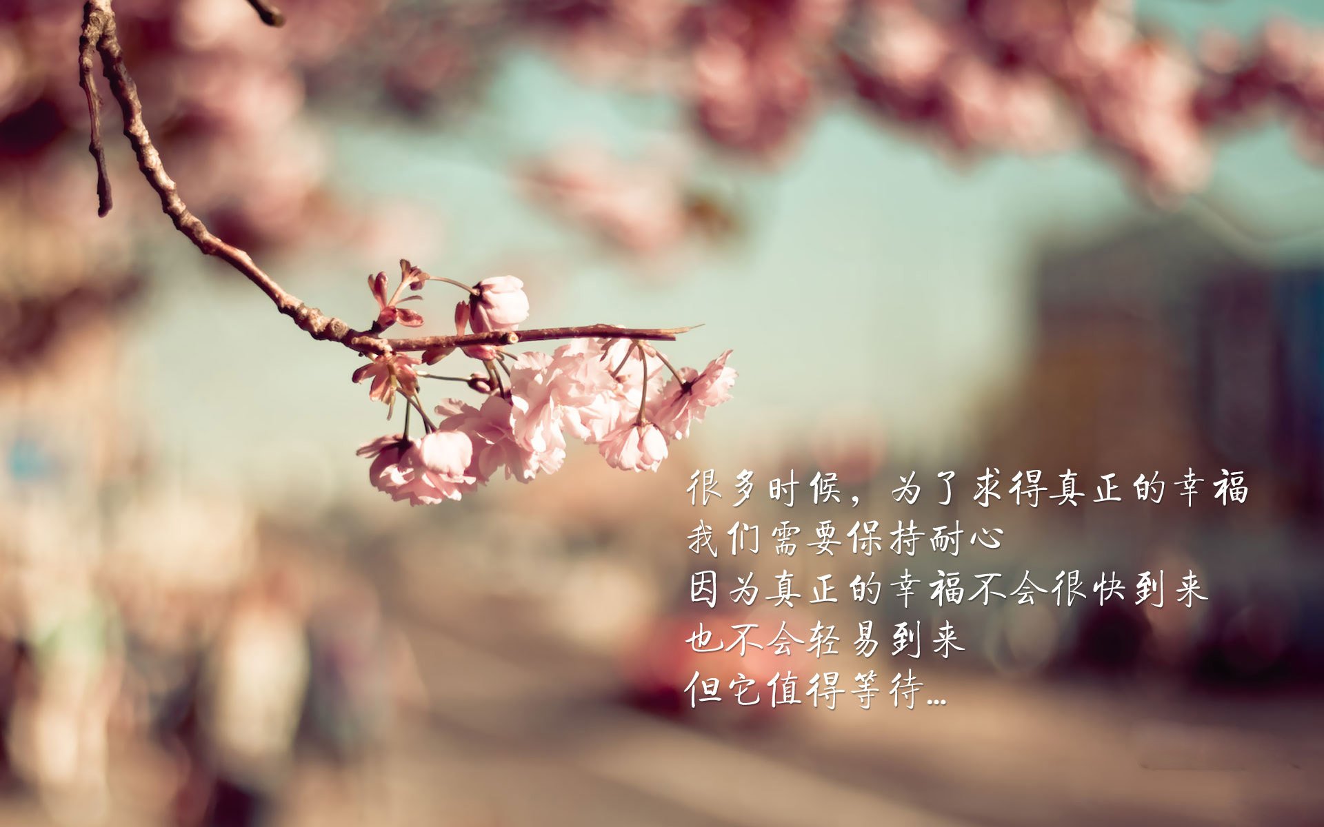 焚城之火！米切尔49分血洗雷霆，奇才非典型胜利颠覆认知